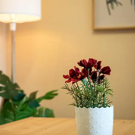 Apartament The Birdcage